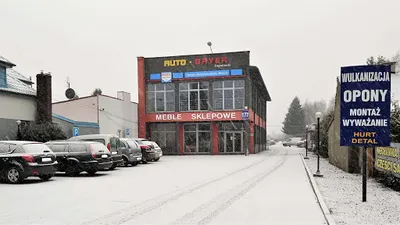 Bosch Car Service - Auto Bayer